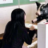 ファイブゲート株式会社 渡部 果南