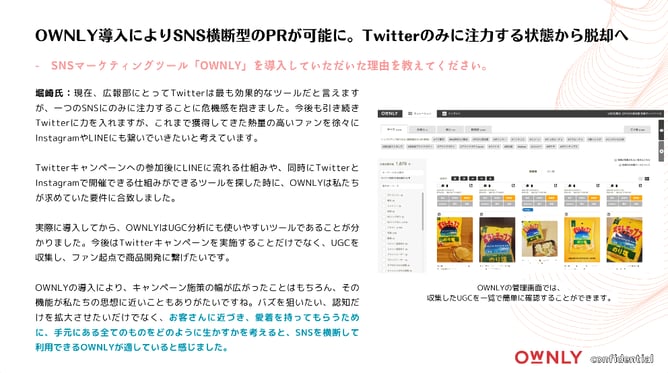 wp_ownly_slide2