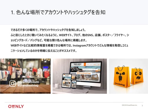 wp_ownly_slide2