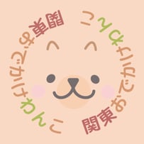 instagram_ico