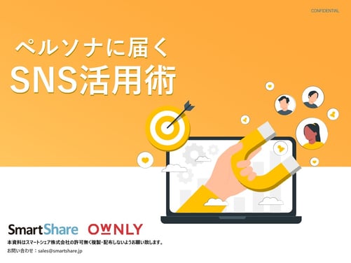 wp_ownly_slide3