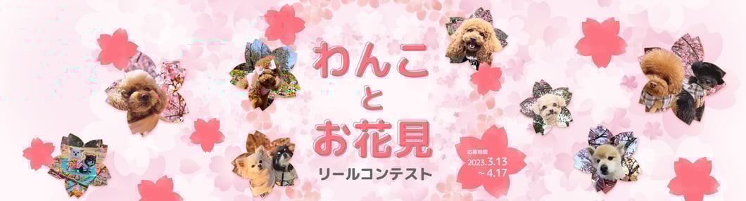 page_main_campaign230313--pc