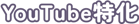 YouTube特化