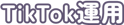TikTok運用
