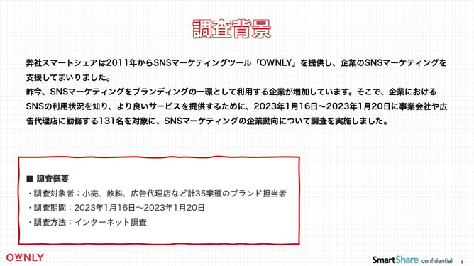 wp_ownly_slide2