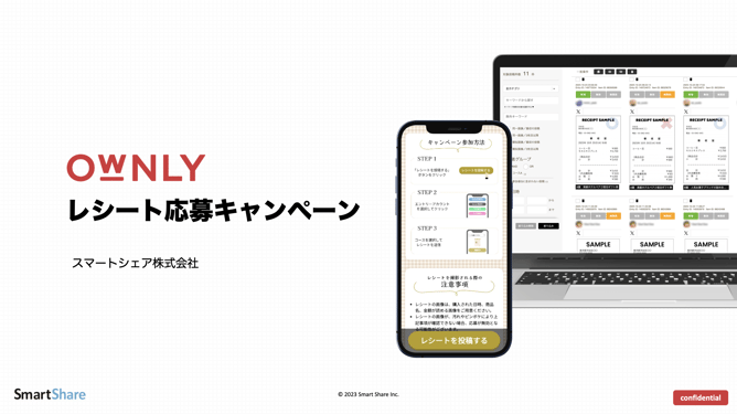 wp_ownly_slide3