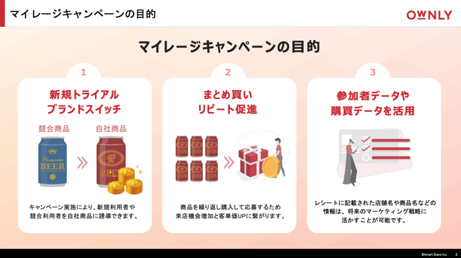 wp_ownly_slide1