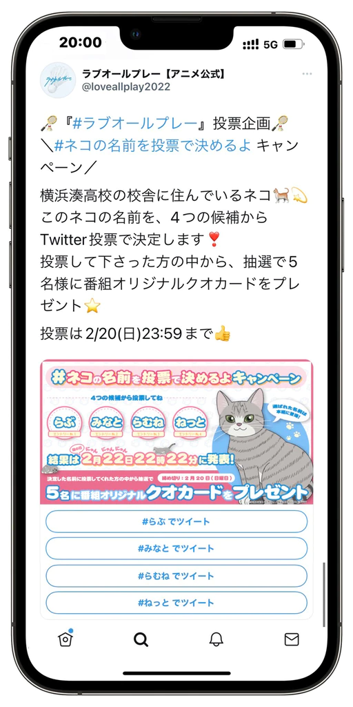 キャンペーン概要